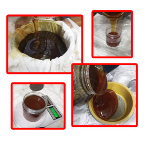 Pure Jungli Raw Honey 500gm – 100% Natural, Unprocessed & Organic Wild Honey